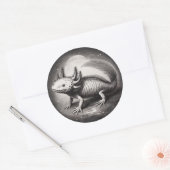 Axolotl Illustratie Natuurgeschiedenis Ronde Sticker (Envelop)