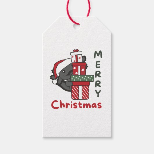 Axolotl-kerstcadeau-winterdieren Axolotl Cadeaulabel (Voorkant)