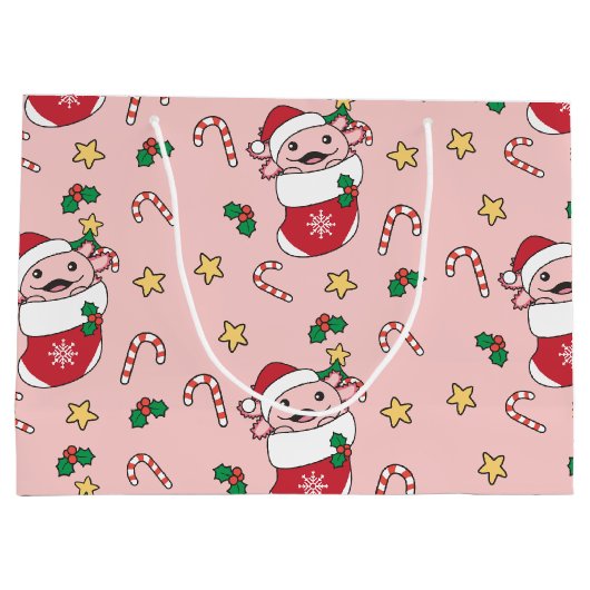 Axolotl kerstwinterdieren Axolotl Groot Cadeauzakje (Achterkant)