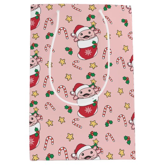 Axolotl kerstwinterdieren Axolotl Medium Cadeauzakje (Voorkant)