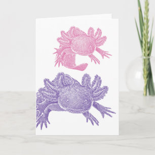 Axolotl lege wenskaart - ROZE & PAARS Kaart