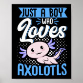 Axolotl Lover Just A Boy Who Loves Axolotls Kawaii Poster (Voorkant)