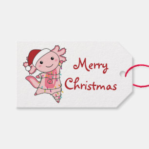 Axolotl Merry Winter Animals Axolotls Tr Cadeaulabel