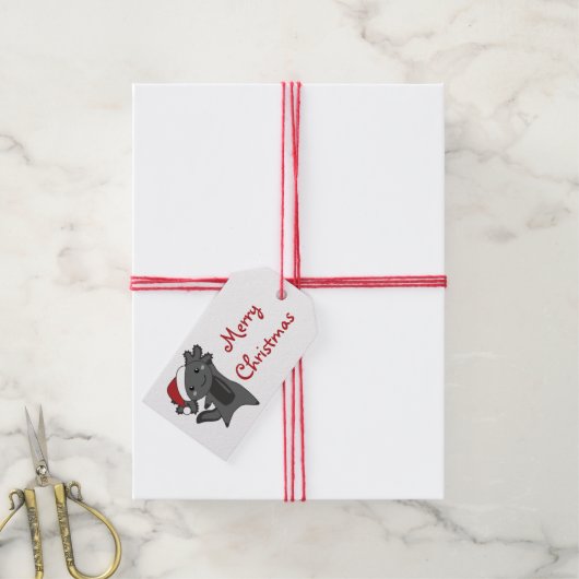 Axolotl Merry Winter Animals Axolotls Tr Cadeaulabel (Met Touw)