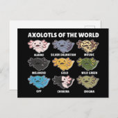 Axolotl post van de wereldzoete dieren briefkaart (Voorkant / Achterkant)