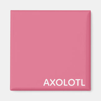 Axolotl roze kleurnaam magneet