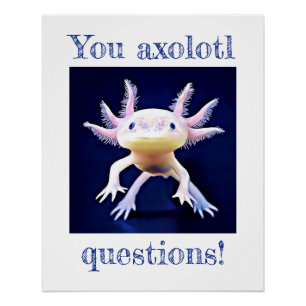 Axolotl Salamander AmfibiePoster Perfect Poster