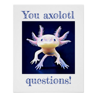 Axolotl Salamander AmfibiePoster Perfect Poster