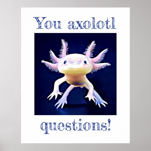 Axolotl Salamander Amphibian Poster (Voorkant)