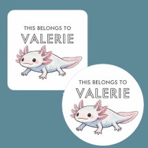 Axolotl Salamander Schattig Persoonlijk Behoort Aa