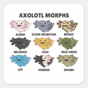 Axolotl squa vierkante sticker