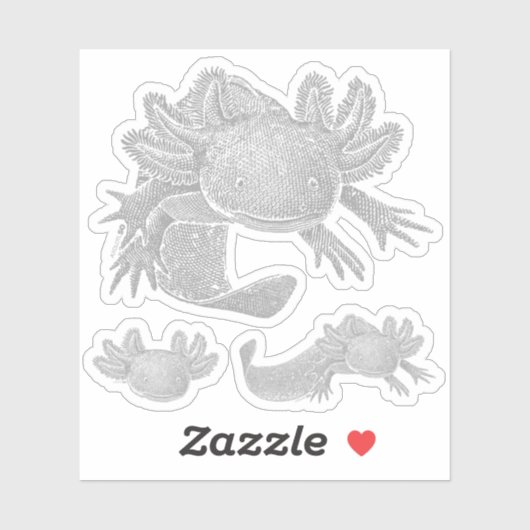 Axolotl Stickers - GRAY - 3 Pack (Vel)