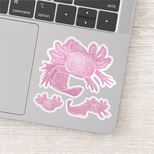 Axolotl Stickers - PINK - 3 Pack (Detail)
