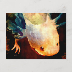 Axolotl Sun Briefkaart