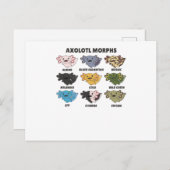 Axolotl van zoete dieren uit de wereld briefkaart (Voorkant / Achterkant)