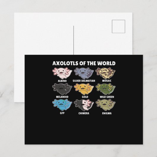 Axolotl van zoete dieren uit de wereld briefkaart (Voorkant / Achterkant)