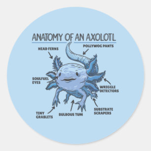 Axolotl-verklaringsanatomie van een asolotl-klassi ronde sticker