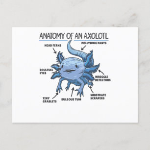 Axolotl-verklaringsanatomie van een Axolotl Briefkaart