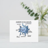 Axolotl-verklaringsanatomie van een Axolotl Briefkaart (Staand voorkant)