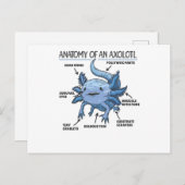 Axolotl-verklaringsanatomie van een Axolotl Briefkaart (Voorkant / Achterkant)
