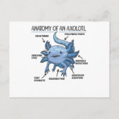 Axolotl-verklaringsanatomie van een Axolotl Briefkaart (Voorkant)