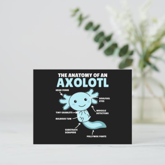 Axolotl-verklaringsanatomie van een Axolotl Briefkaart (Staand voorkant)