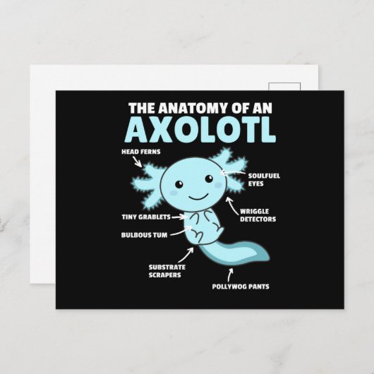 Axolotl-verklaringsanatomie van een Axolotl Briefkaart (Voorkant / Achterkant)