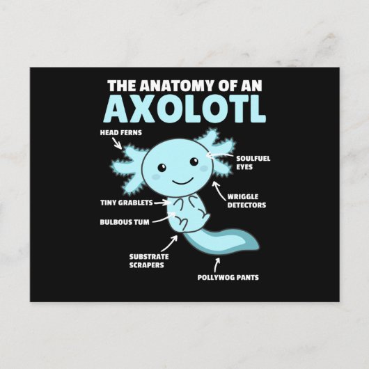 Axolotl-verklaringsanatomie van een Axolotl Briefkaart (Voorkant)