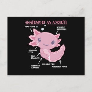 Axolotl-verklaringsanatomie van een Axolotl Briefkaart