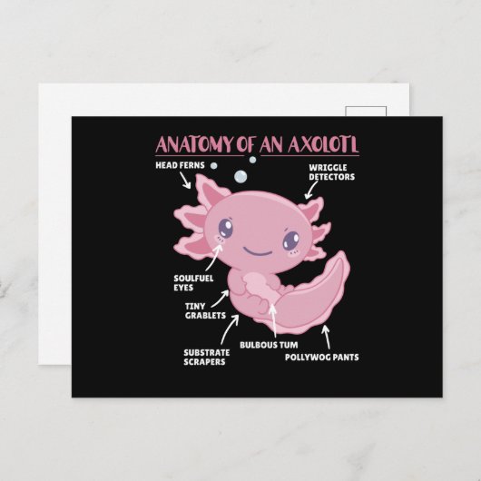 Axolotl-verklaringsanatomie van een Axolotl Briefkaart (Voorkant / Achterkant)