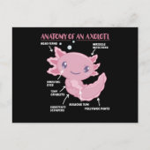 Axolotl-verklaringsanatomie van een Axolotl Briefkaart (Voorkant)