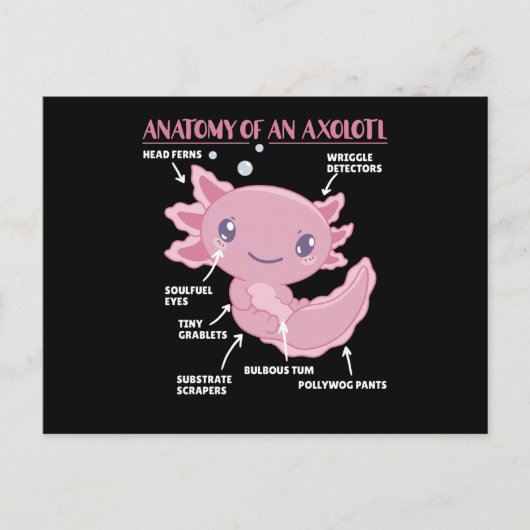 Axolotl-verklaringsanatomie van een Axolotl Briefkaart (Voorkant)