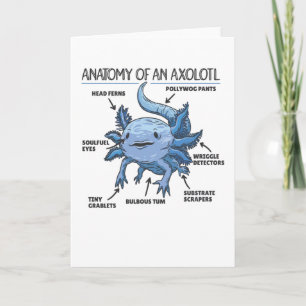 Axolotl-verklaringsanatomie van een Axolotl Kaart