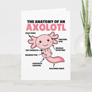 Axolotl-verklaringsanatomie van een Axolotl Kaart