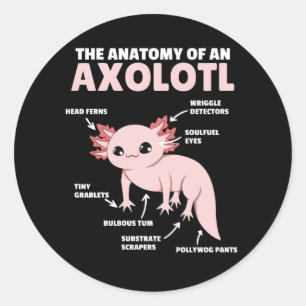 Axolotl-verklaringsanatomie van een Axolotl Ronde Sticker