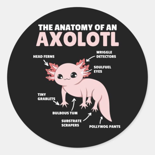 Axolotl-verklaringsanatomie van een Axolotl Ronde Sticker (Voorkant)
