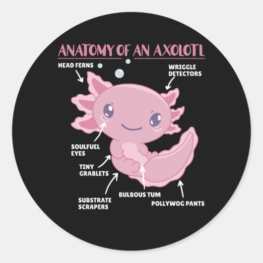 Axolotl-verklaringsanatomie van een Axolotl Ronde Sticker (Voorkant)