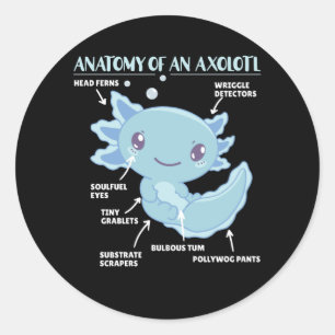 Axolotl-verklaringsanatomie van een Axolotl Ronde Sticker