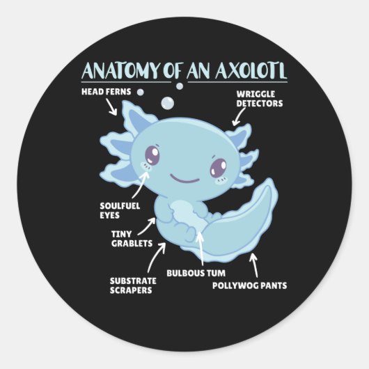 Axolotl-verklaringsanatomie van een Axolotl Ronde Sticker (Voorkant)