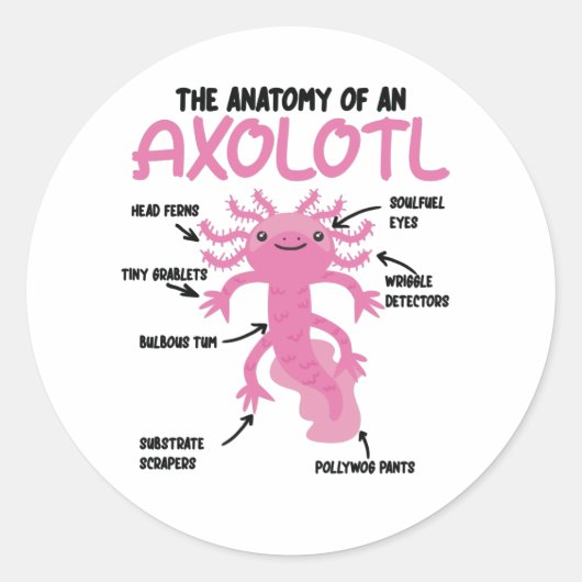 Axolotl-verklaringsanatomie van een Axolotl Ronde Sticker (Voorkant)