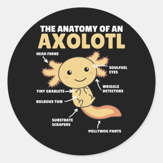 Axolotl-verklaringsanatomie van een Axolotl Ronde Sticker (Voorkant)