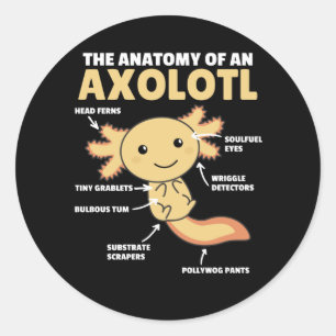 Axolotl-verklaringsanatomie van een Axolotl Ronde Sticker