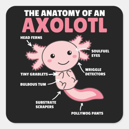 Axolotl-verklaringsanatomie van een Axolotl Vierkante Sticker (Voorkant)