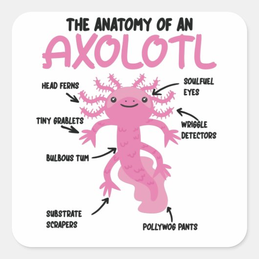 Axolotl-verklaringsanatomie van een Axolotl Vierkante Sticker (Voorkant)