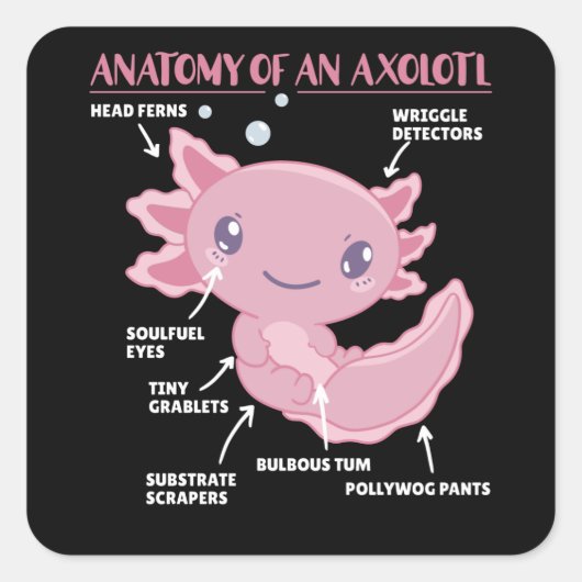 Axolotl-verklaringsanatomie van een Axolotl Vierkante Sticker (Voorkant)