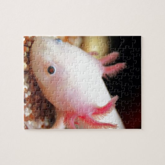 Axolotl Weißling Legpuzzel (Horizontaal)