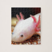 Axolotl Weißling Legpuzzel (Verticaal)