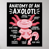Axolotls anatomie van een Axolotl Kawaii Poster (Voorkant)