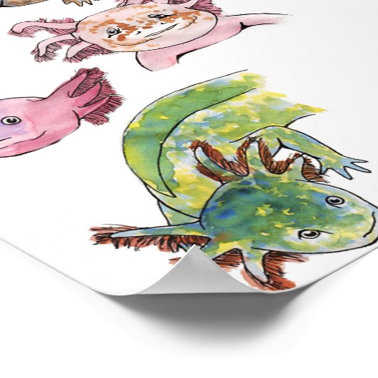 Axolotls Poster (Hoek)