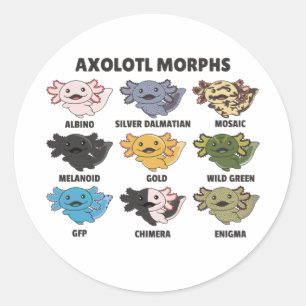 Axolotls van de wereld - zoete dieren ronde sticker